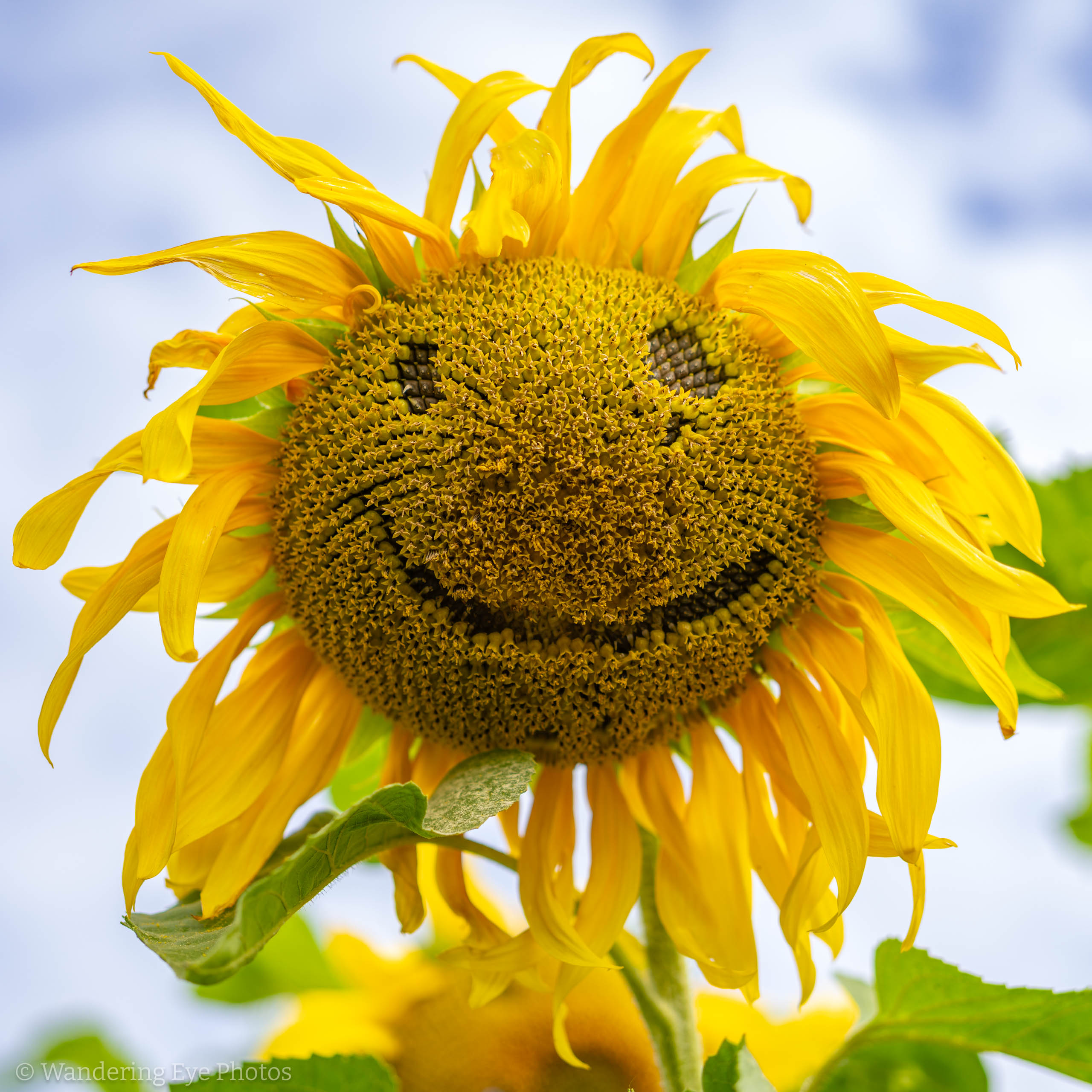 08.11 11.20.19   DSC02880